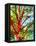 Summer Medley-Mandy Budan-Framed Stretched Canvas