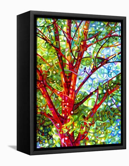 Summer Medley-Mandy Budan-Framed Stretched Canvas