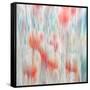 Summer Memories-Ursula Abresch-Framed Stretched Canvas