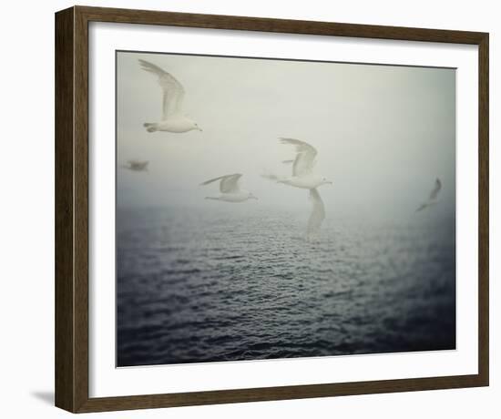 Summer Migration-Irene Suchocki-Framed Giclee Print