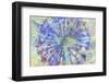 Summer Morning (2)-Jacob Berghoef-Framed Photographic Print