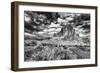 Summer Morning at Arches National Park-Dean Fikar-Framed Photographic Print