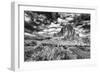 Summer Morning at Arches National Park-Dean Fikar-Framed Photographic Print