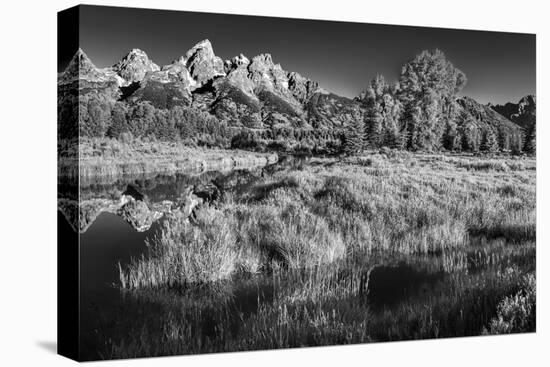 Summer Morning at Schwabacher Landing-Dean Fikar-Stretched Canvas