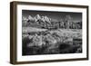 Summer Morning at Schwabacher Landing-Dean Fikar-Framed Photographic Print