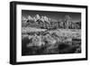 Summer Morning at Schwabacher Landing-Dean Fikar-Framed Photographic Print