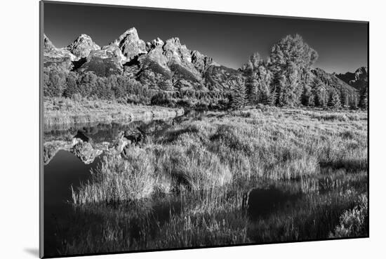 Summer Morning at Schwabacher Landing-Dean Fikar-Mounted Photographic Print