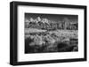 Summer Morning at Schwabacher Landing-Dean Fikar-Framed Photographic Print