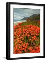 Summer Morning Coastal Color-Vincent James-Framed Photographic Print