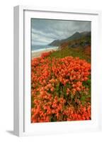 Summer Morning Coastal Color-Vincent James-Framed Photographic Print