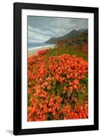 Summer Morning Coastal Color-Vincent James-Framed Photographic Print