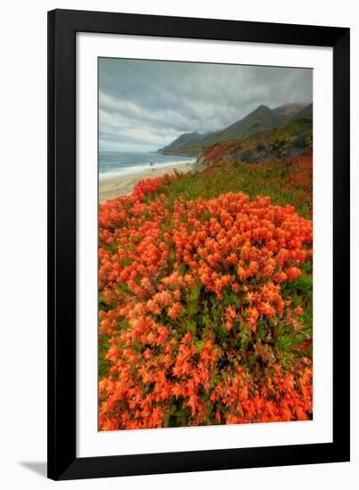 Summer Morning Coastal Color-Vincent James-Framed Photographic Print