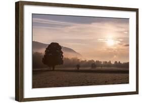 Summer Morning in Carinthia-Simone Wunderlich-Framed Photographic Print