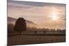 Summer Morning in Carinthia-Simone Wunderlich-Mounted Photographic Print