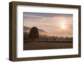 Summer Morning in Carinthia-Simone Wunderlich-Framed Photographic Print