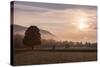 Summer Morning in Carinthia-Simone Wunderlich-Stretched Canvas