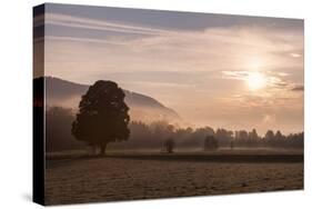 Summer Morning in Carinthia-Simone Wunderlich-Stretched Canvas