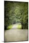 Summer Morning Stroll-Jai Johnson-Mounted Photographic Print