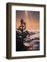 Summer Mountian Flow and Light Tree, Mount Tamalpais, California-Vincent James-Framed Photographic Print