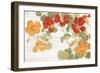 Summer Nasturtiums Cottage-Wild Apple Portfolio-Framed Art Print