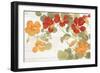 Summer Nasturtiums Cottage-Wild Apple Portfolio-Framed Art Print