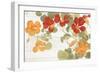 Summer Nasturtiums Cottage-Wild Apple Portfolio-Framed Art Print