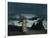 Summer Night, 1890-Winslow Homer-Framed Giclee Print