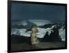 Summer Night, 1890-Winslow Homer-Framed Giclee Print