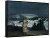 Summer Night, 1890-Winslow Homer-Framed Stretched Canvas