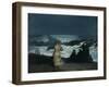 Summer Night, 1890-Winslow Homer-Framed Giclee Print