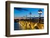 Summer Night in Bordeaux-SergiyN-Framed Photographic Print