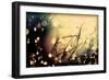 Summer Nights-Incredi-Framed Photographic Print