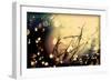 Summer Nights-Incredi-Framed Photographic Print