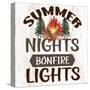 Summer Nights-Kimberly Allen-Stretched Canvas