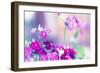 Summer Notes-Incredi-Framed Photographic Print