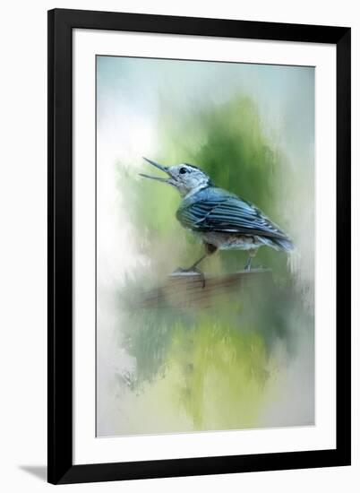 Summer Nuthatch-Jai Johnson-Framed Giclee Print