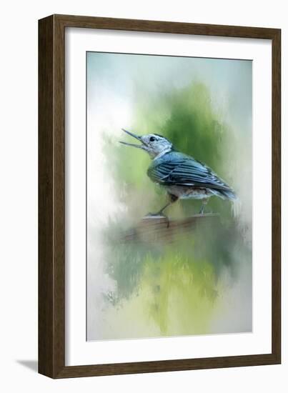 Summer Nuthatch-Jai Johnson-Framed Giclee Print