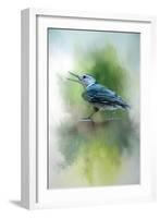 Summer Nuthatch-Jai Johnson-Framed Giclee Print