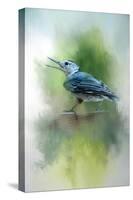 Summer Nuthatch-Jai Johnson-Stretched Canvas