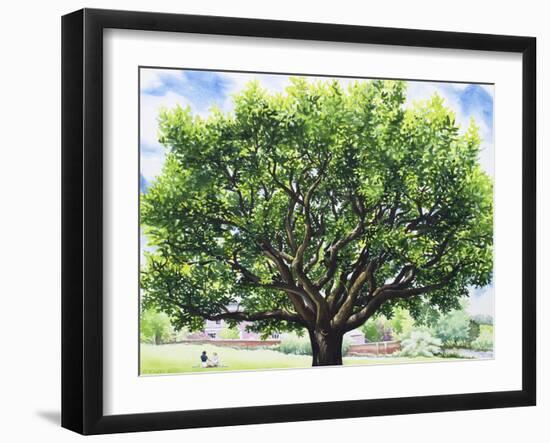 Summer Oak Tree-Christopher Ryland-Framed Giclee Print