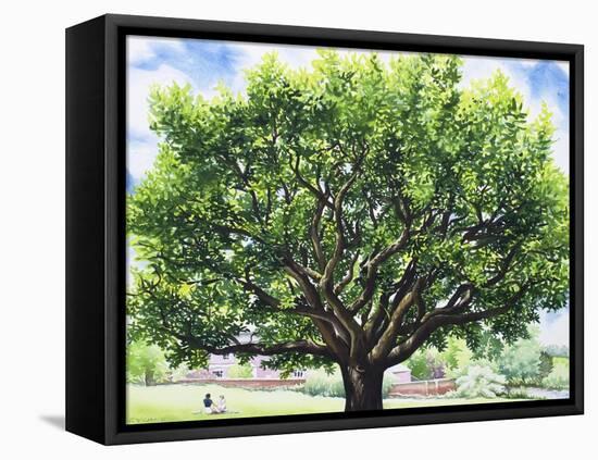 Summer Oak Tree-Christopher Ryland-Framed Stretched Canvas