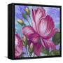 Summer Ombre Rose Pink Lr-Bill Jackson-Framed Stretched Canvas