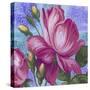 Summer Ombre Rose Pink Lr-Bill Jackson-Stretched Canvas