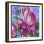 Summer Ombre Rose Pink Lr-Bill Jackson-Framed Giclee Print