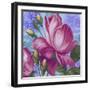 Summer Ombre Rose Pink Lr-Bill Jackson-Framed Giclee Print