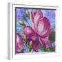 Summer Ombre Rose Pink Lr-Bill Jackson-Framed Giclee Print