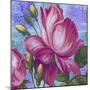 Summer Ombre Rose Pink Lr-Bill Jackson-Mounted Giclee Print
