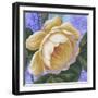 Summer Ombre Rose Yellow-Bill Jackson-Framed Giclee Print