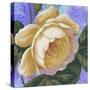 Summer Ombre Rose Yellow-Bill Jackson-Stretched Canvas