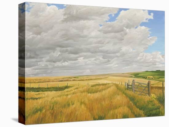 Summer on Cotley Hill, 2010-Peter Breeden-Stretched Canvas